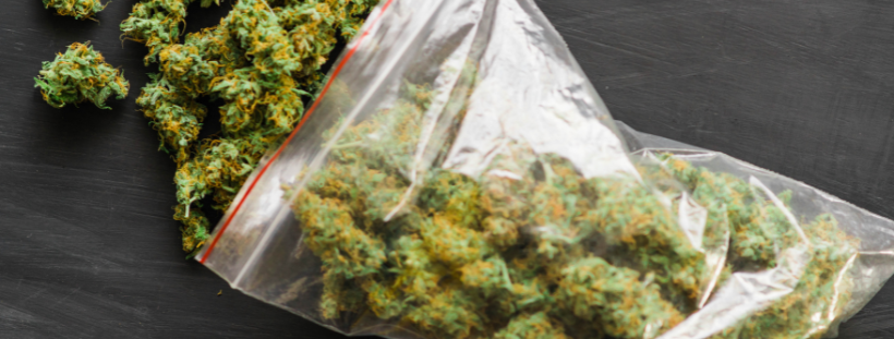 weed delivery